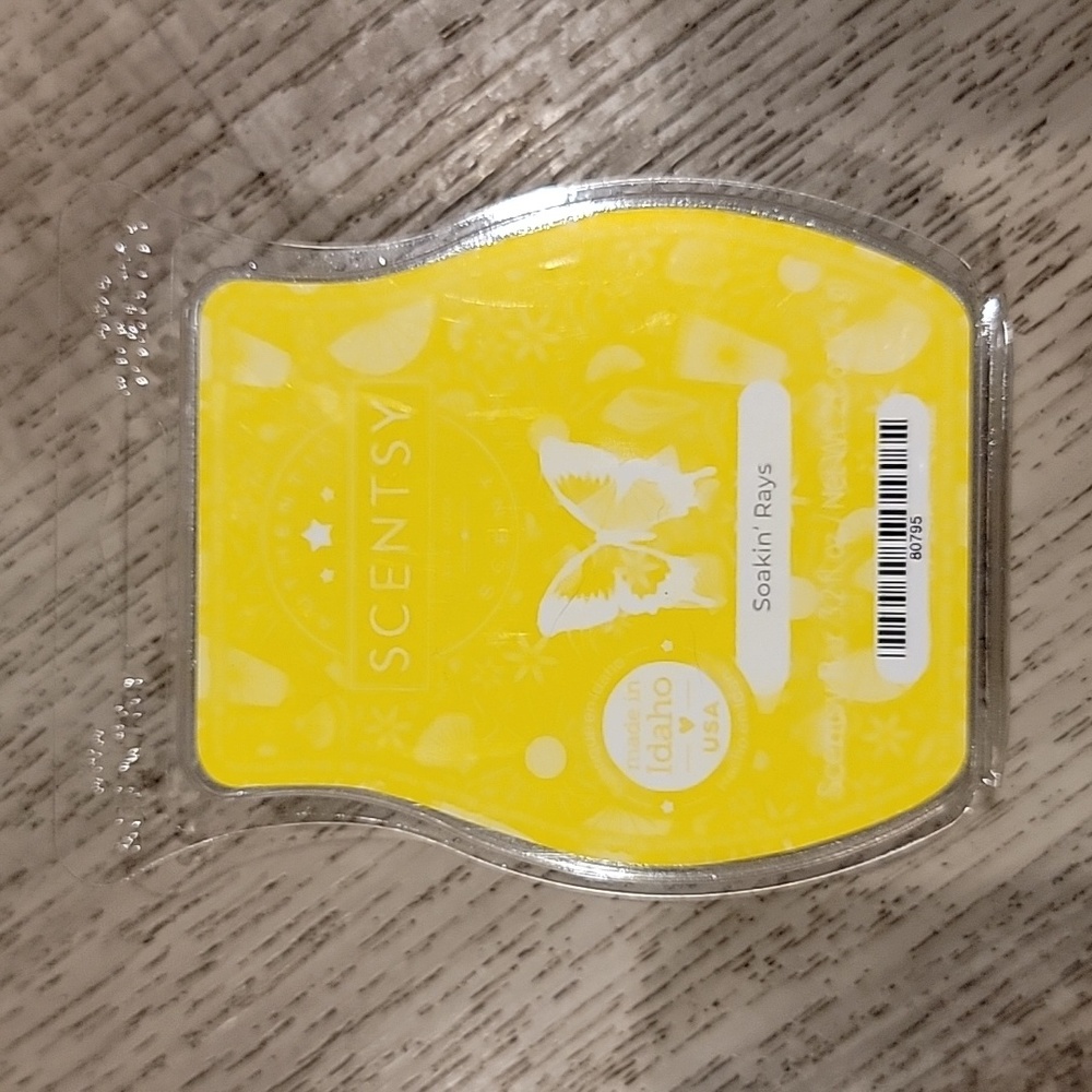 Scentsy soakin rays bar